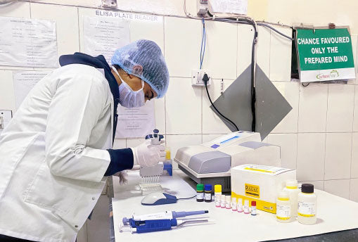 Quality Sustenance at Wheafree